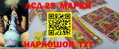 стаф Донской