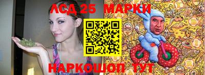 стаф Донской
