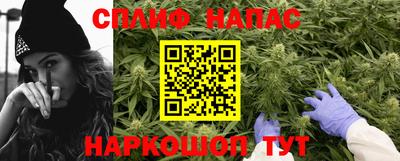 стаф Донской
