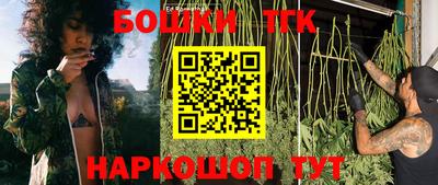 стаф Донской